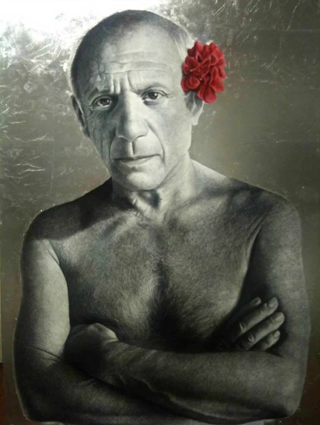 Picasso by Gordon Harris